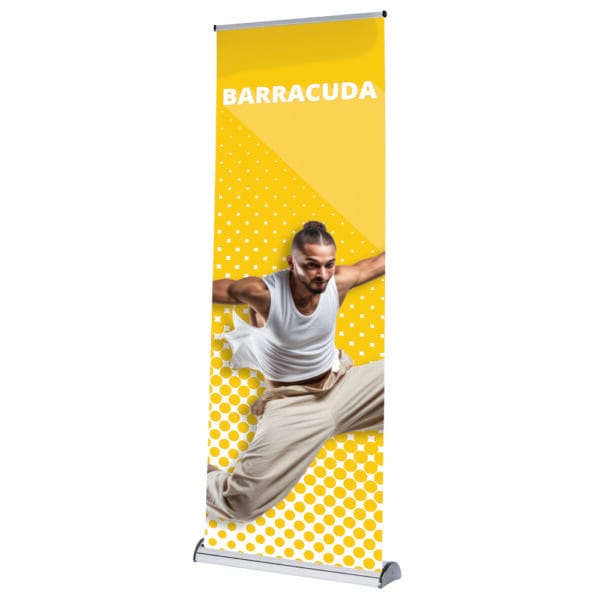 barracuda-84856