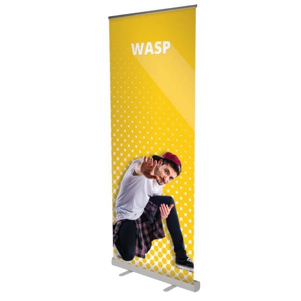 wasp-85485
